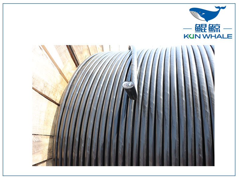 鄭州電纜廠家：什么是RVS電纜？