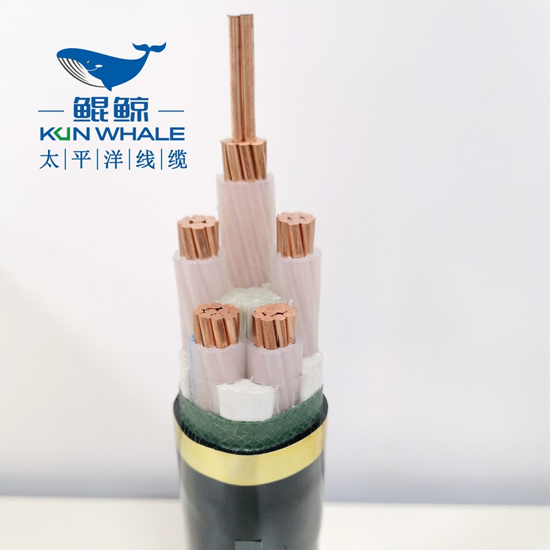 50平方低壓電力電纜，低壓電纜，電力電纜-河南太平洋線纜