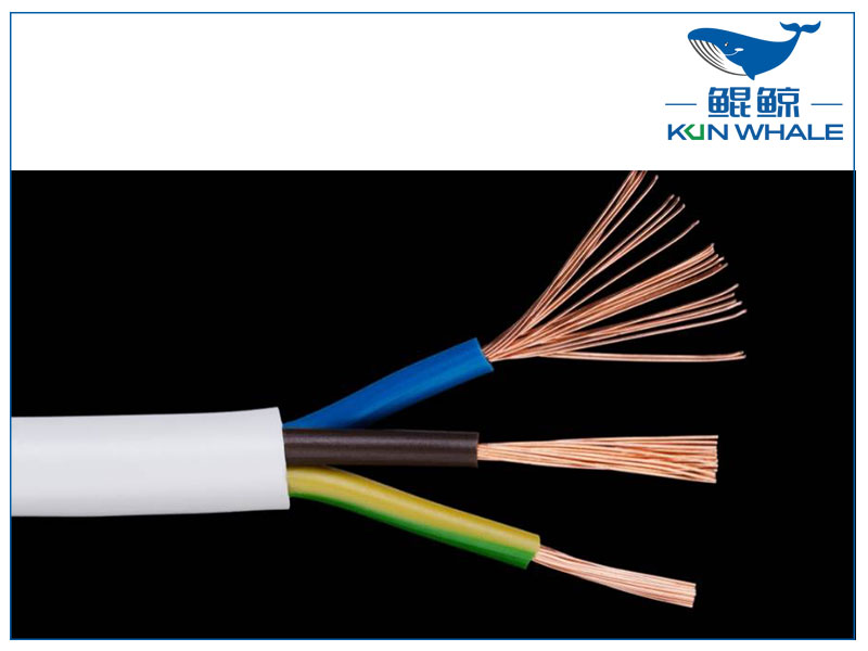 河南太平洋圖片